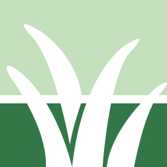 Commercial Lawn Fertilizing Pros