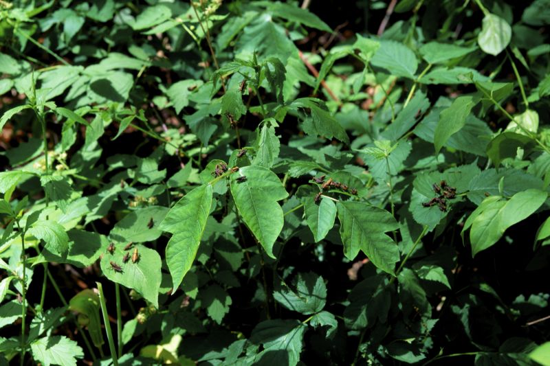 Lancaster County, PA