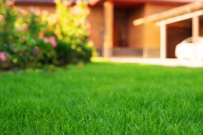 Lawn Treatment Service detail