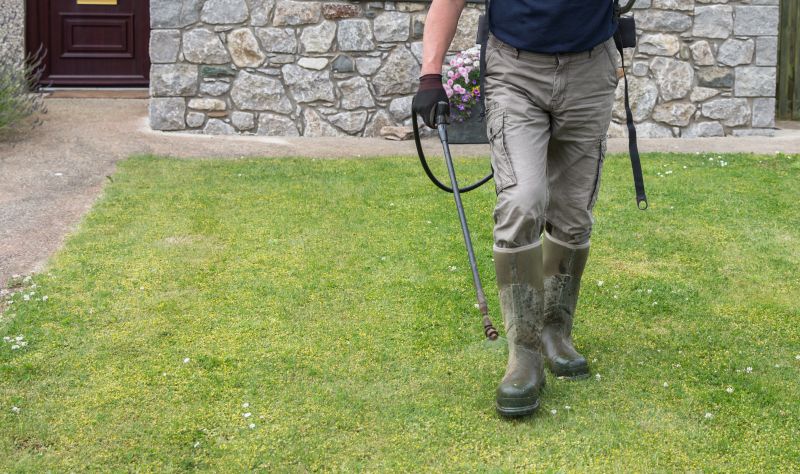 Lawn Weed Treatment Service detail