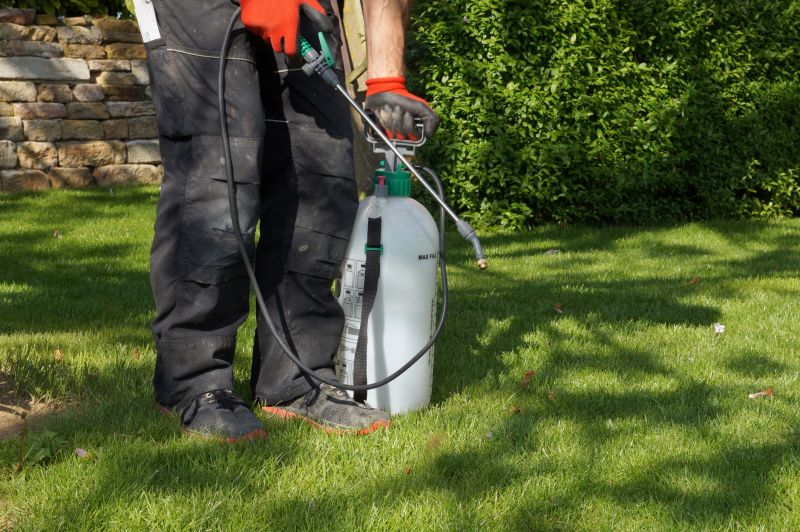Lawn Weed Treatment Service detail