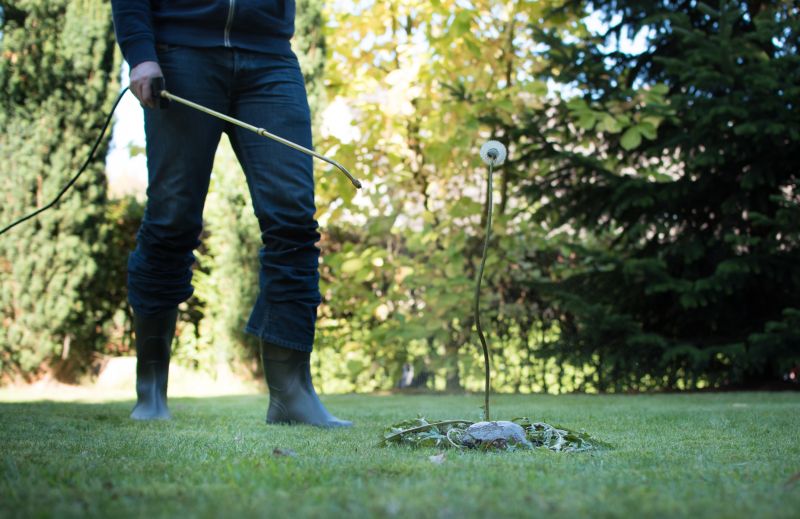 Lawn Weed Treatment Service detail