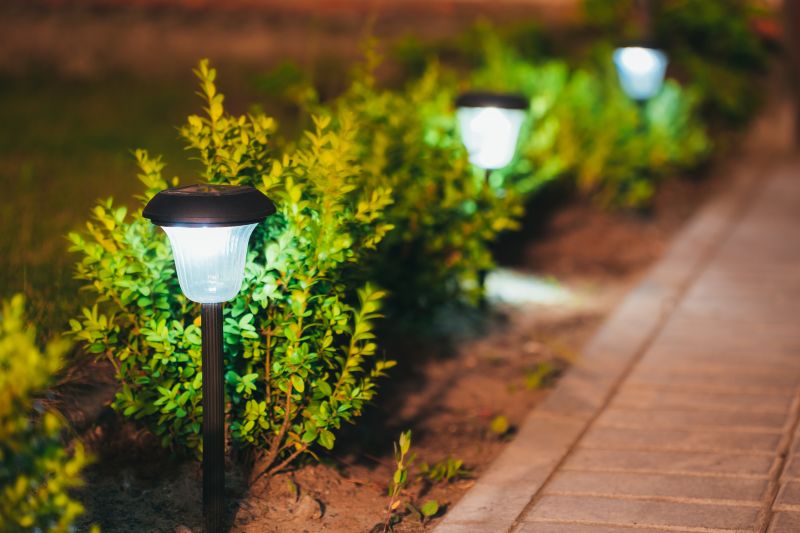 Pond Lighting Installation in Pasadena, CA
