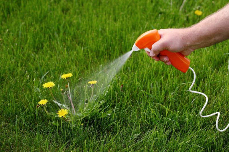 Crabgrass Removal in Ventura County, CA