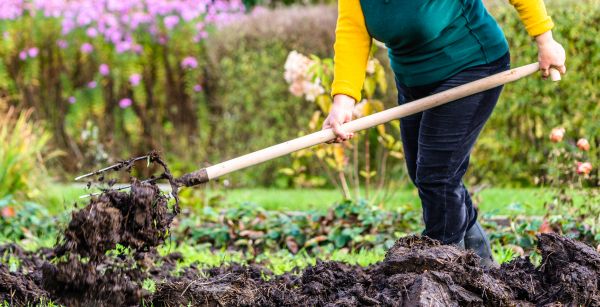 Soil Topping