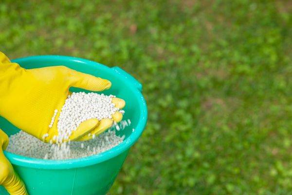 Commercial Lawn Fertilizing